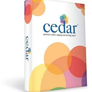 A4 Paper,100 Gsm(Pack of 1)